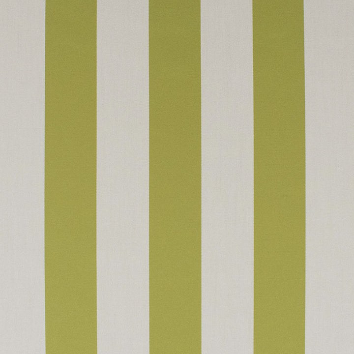 S6294 Basil by Greenhouse Designer Fabric 100% Solution-Dyed Acrylic USA 60,000 </p><p>Repeat: 4.5" H 54" - Swanky Fabrics -