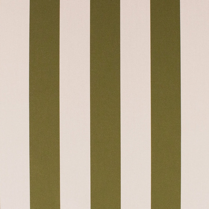 S6299 Grass by Greenhouse Designer Fabric 100% Solution-Dyed Acrylic USA 60,000 </p><p>Repeat: 4.5" H 54" - Swanky Fabrics -