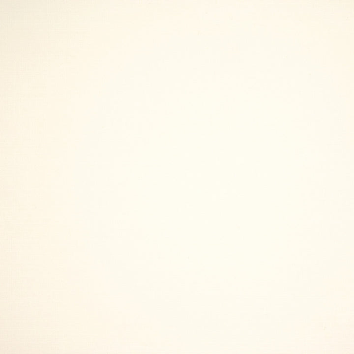 S6464 Optic White by Greenhouse Designer Fabric 100% Cotton USA 120,000 </p><p>Repeat: None 57" - Swanky Fabrics -