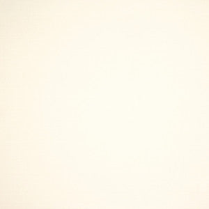 S6464 Optic White by Greenhouse Designer Fabric