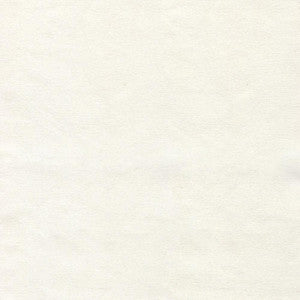 S6465 Natural by Greenhouse Designer Fabric