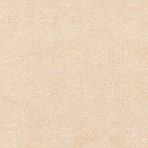 S6469 Canvas by Greenhouse Designer Fabric