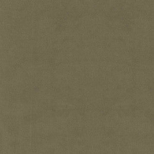 S6478 Vetiver by Greenhouse Designer Fabric