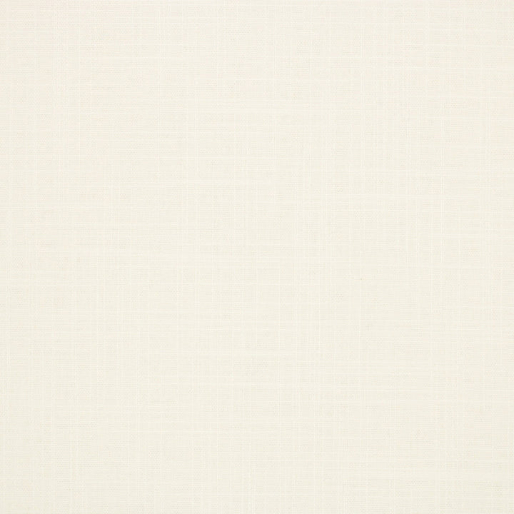 S6542 Optic White by Greenhouse Designer Fabric 100% Polyester India 100,000 </p><p>Repeat: None 54" - Swanky Fabrics -