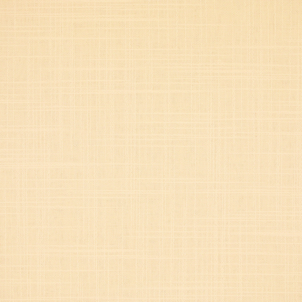 S6547 Cream by Greenhouse Designer Fabric 100% Polyester India 100,000 </p><p>Repeat: None 54" - Swanky Fabrics -