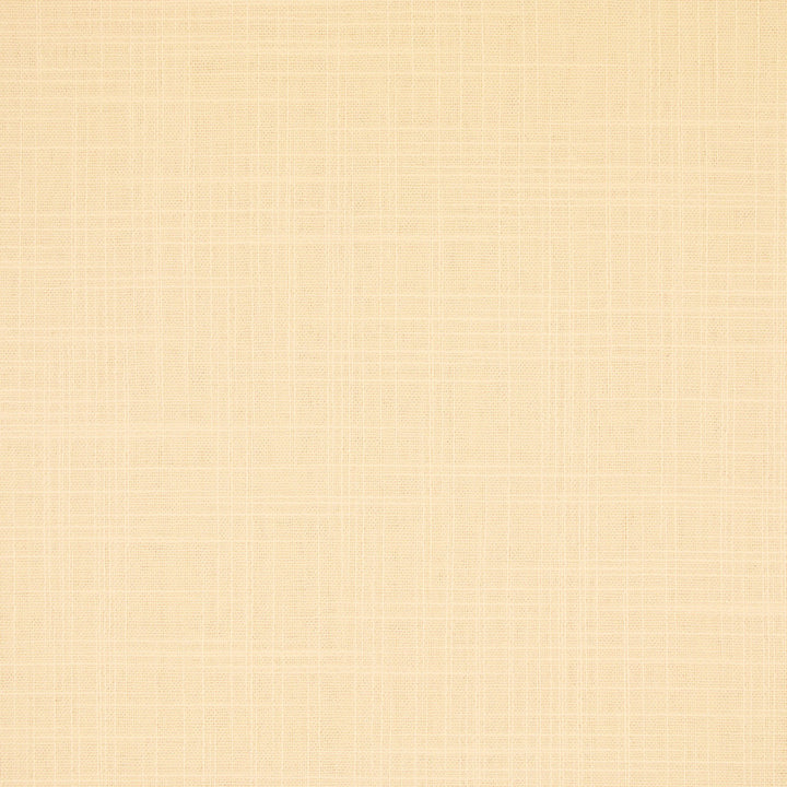 S6547 Cream by Greenhouse Designer Fabric 100% Polyester India 100,000 </p><p>Repeat: None 54" - Swanky Fabrics -