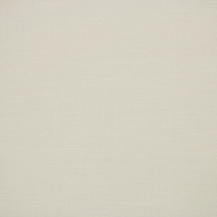 S6560 Pebble by Greenhouse Designer Fabric 100% Polyester India 100,000 </p><p>Repeat: None 54" - Swanky Fabrics -