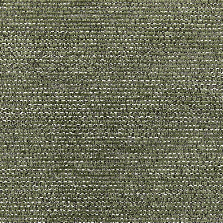 S6666 Green by Greenhouse Designer Fabric 100% Polyester China 80,000 </p><p>Repeat: None 54" - Swanky Fabrics -