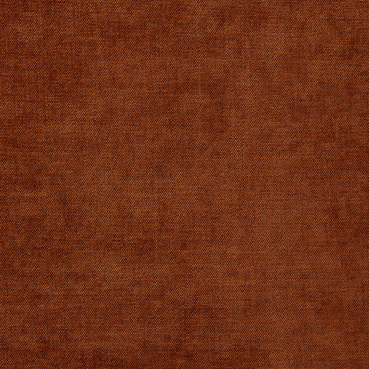 S6680 Sienna by Greenhouse Designer Fabric 100% Polyester China 100,000 </p><p>Repeat: None 54" - Swanky Fabrics -