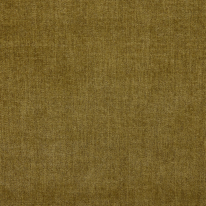 S6683 Olive by Greenhouse Designer Fabric 100% Polyester China 100,000 </p><p>Repeat: None 54" - Swanky Fabrics -