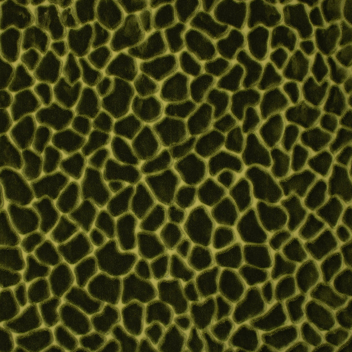S6756 Forest by Greenhouse Designer Fabric 82% Polyester Filament, 18% Polyester Spn India 100,000 </p><p>Repeat: 14.59" H, 28" V 55" - Swanky Fabrics -