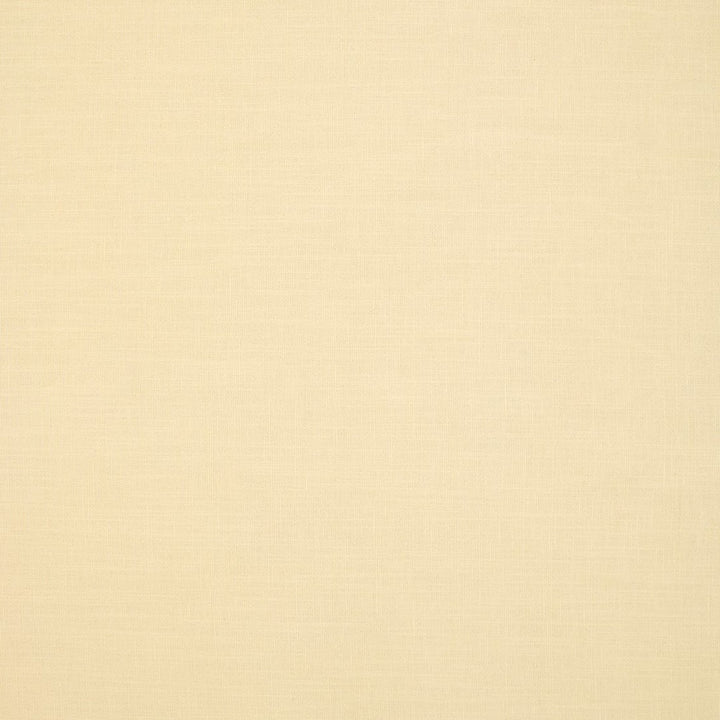 S6792 Ivory by Greenhouse Designer Fabric 54% Linen, 38% Viscose, 8% Cotton India 25,000 </p><p>Repeat: None 56" - Swanky Fabrics -
