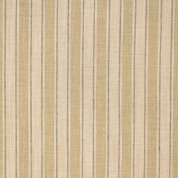 S6802 Chiffon by Greenhouse Designer Fabric 100% Polyester India DRAPERY </p><p>Repeat: 2.5" H 54" - Swanky Fabrics -