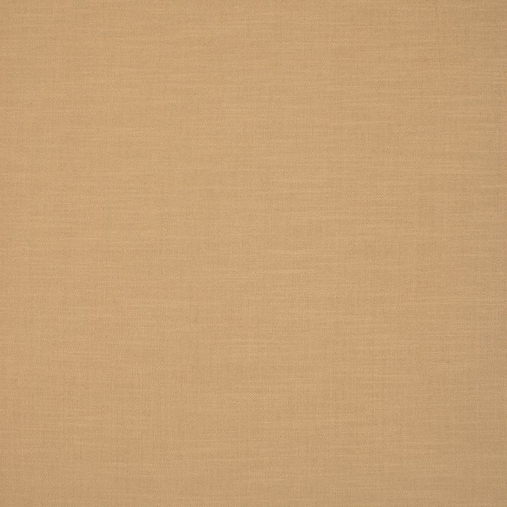 S6811 Buff by Greenhouse Designer Fabric 54% Linen, 38% Viscose, 8% Cotton India 25,000 </p><p>Repeat: None 56" - Swanky Fabrics -
