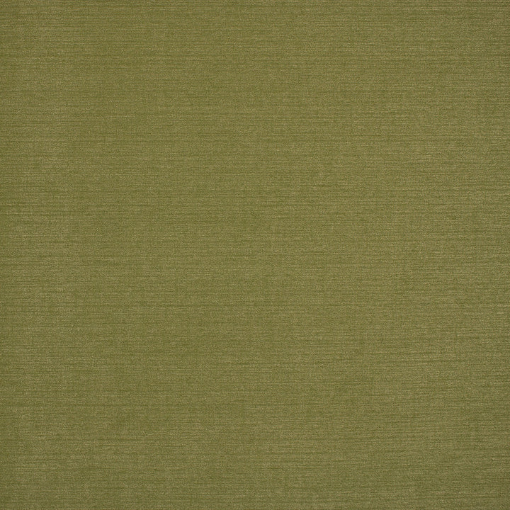 S6911 Moss by Greenhouse Designer Fabric 54% Linen, 38% Viscose, 8% Cotton India 25,000 </p><p>Repeat: None 56" - Swanky Fabrics -