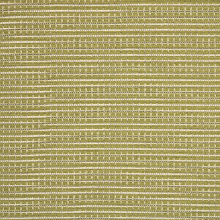 S6918 Greenery by Greenhouse Designer Fabric 50.29% Rayon, 19.2% Uv Polyester, 18.68% Cotton, 11.83% Polyester USA 63,000 </p><p>Repeat: .438" H, .563" V 57" - Swanky Fabrics -