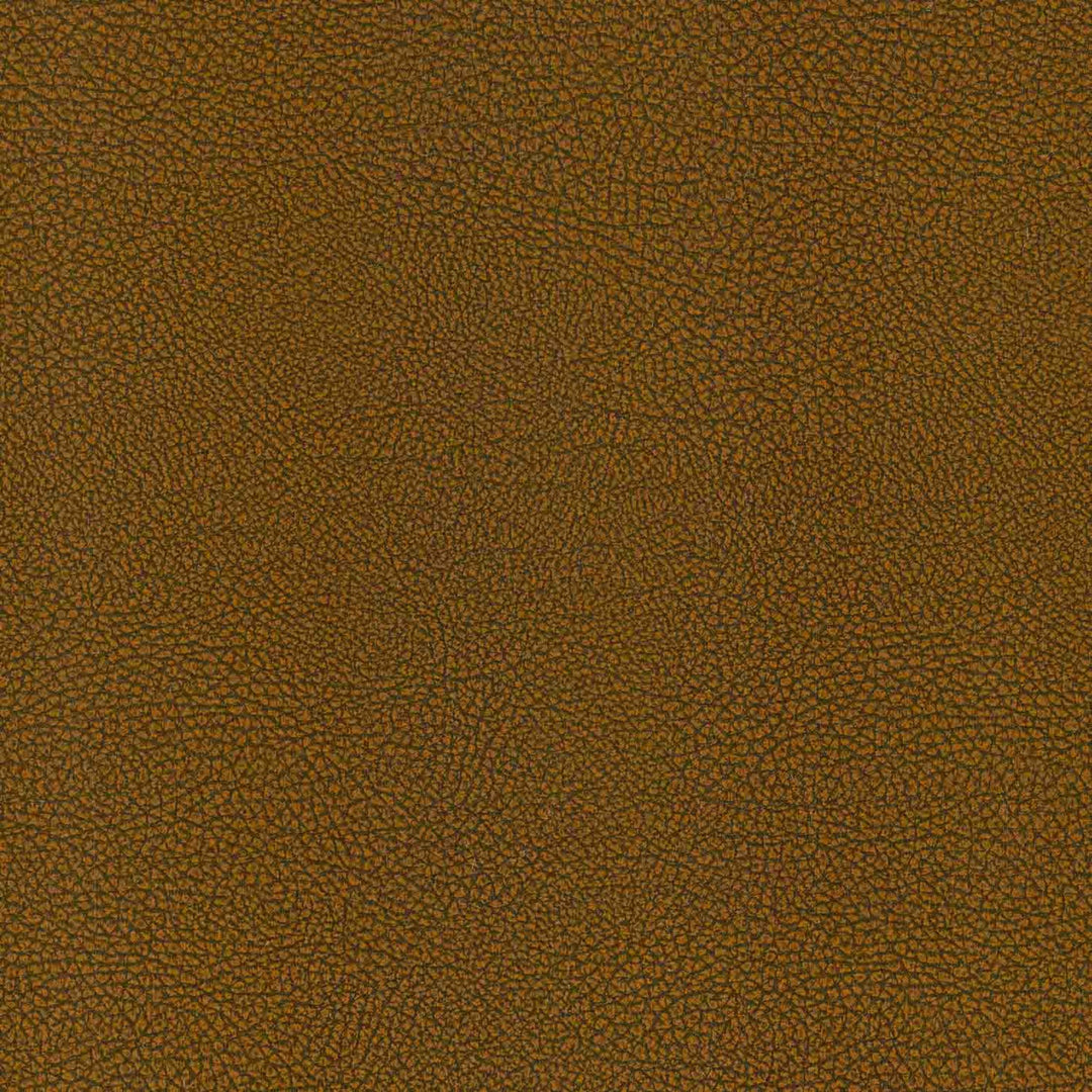 S8027 Earth by Greenhouse Designer Fabric
