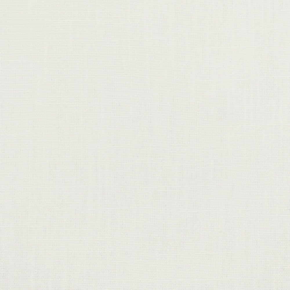 Salon 4 Chalk by Stout Designer Fabric THE NATURALS III 42%POL 20%COT 19%SVI 19%LIN INDIA Horizontal: 0.000 and Vertical: 0.000 55 in - Swanky Fabrics -