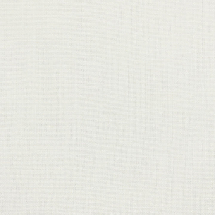 Salon 4 Chalk by Stout Designer Fabric THE NATURALS III 42%POL 20%COT 19%SVI 19%LIN INDIA Horizontal: 0.000 and Vertical: 0.000 55 in - Swanky Fabrics -