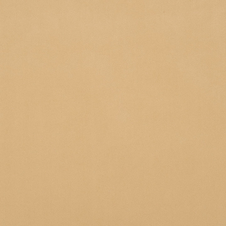 Salute 11J7191 by JF Crypton Designer Fabric Salute Crypton Home Book 100% Polyester Republic Of Korea 100000 Horizontal: and Vertical: 54 - Swanky Fabrics -