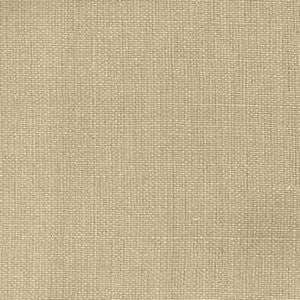 Salute Mushroom 07 by Norbar Designer Fabric