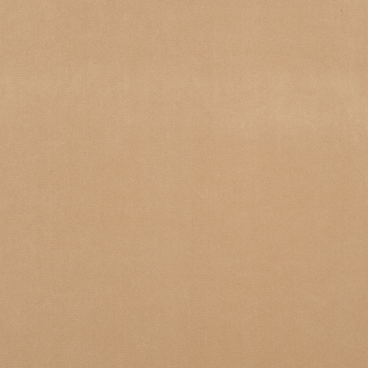 Salute 30J7191 by JF Crypton Designer Fabric Salute Crypton Home Book 100% Polyester Republic Of Korea 100000 Horizontal: and Vertical: 54 - Swanky Fabrics -