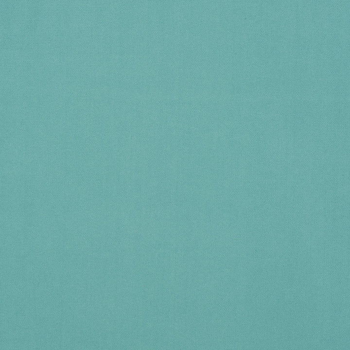 Salute 62J7191 by JF Crypton Designer Fabric Salute Crypton Home Book 100% Polyester Republic Of Korea 100000 Horizontal: and Vertical: 54 - Swanky Fabrics -