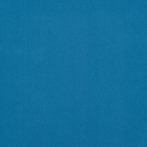 Salute 64J7191 by JF Crypton Designer Fabric