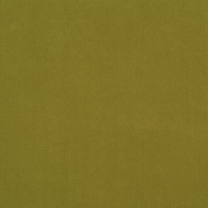 Salute 74J7191 by JF Crypton Designer Fabric Salute Crypton Home Book 100% Polyester Republic Of Korea 100000 Horizontal: and Vertical: 54 - Swanky Fabrics -