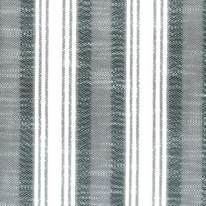 Samson 4 Charcoal by Stout Designer Fabric