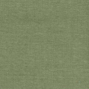 Santiago Cactus 52 by Norbar Designer Fabric 100% POLYESTER GERMANY 54" - Swanky Fabrics -
