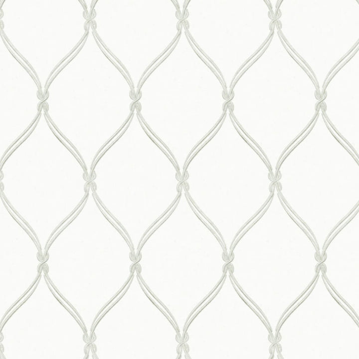 Sayso 1 Silver by Stout Designer Fabric RAINBOW LIBRARY SILVER/SMOKE 100%LIN %BEMB INDIA WYZENBEEK 3 000 DOUBLE RUB WEAR TEST (LIGHT DUTY) Horizontal: 7.375 and Vertical: 12.875 51.25 in - Swanky Fabrics -