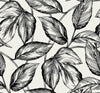 Beckett Sketched Leaves Volcanic Black SC20000 by Seabrook Designs Designer Wallpaper