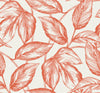 Beckett Sketched Leaves Rich Coral SC20001 by Seabrook Designs Designer Wallpaper