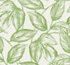 Beckett Sketched Leaves Apple Green SC20004 by Seabrook Designs Designer Wallpaper