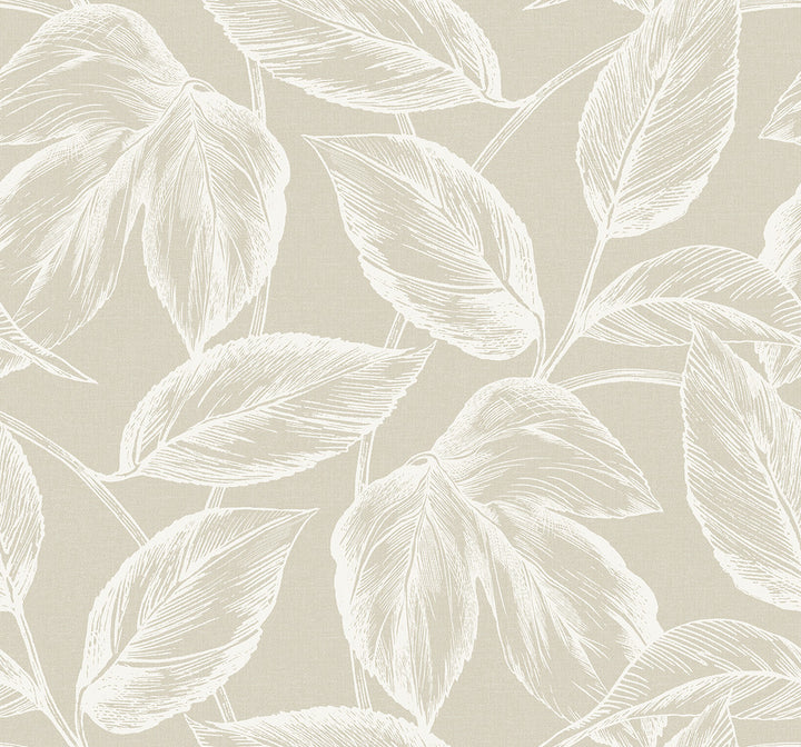 Beckett Sketched Leaves Oat SC20005 by Seabrook Designs Designer Wallpaper