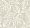 Beckett Sketched Leaves Oat SC20005 by Seabrook Designs Designer Wallpaper