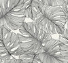 Tarra Monstera Leaf Contrasto SC20200 by Seabrook Designs Designer Wallpaper