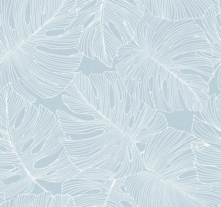 Tarra Monstera Leaf Early Sky SC20202 by Seabrook Designs Designer Wallpaper