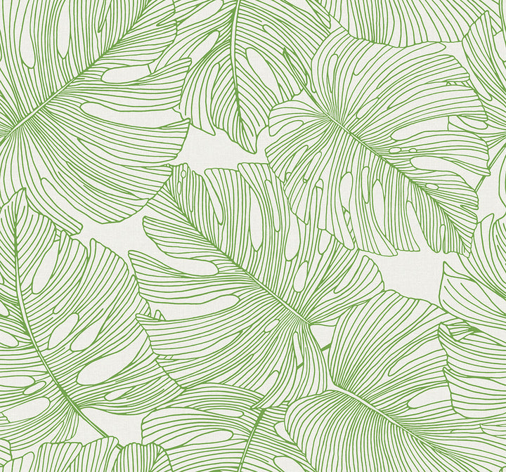 Tarra Monstera Leaf Hill Green SC20204 by Seabrook Designs Designer Wallpaper