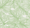 Tarra Monstera Leaf Hill Green SC20204 by Seabrook Designs Designer Wallpaper