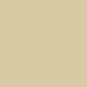 Scorpio Champagne 3 by Norbar Designer Fabric SCORPIO 100% INHERENTLY FLAME INDIA 54" - Swanky Fabrics -