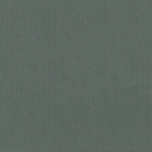 Scorpio Graphite 85 by Norbar Designer Fabric SCORPIO 100% INHERENTLY FLAME INDIA 54" - Swanky Fabrics -