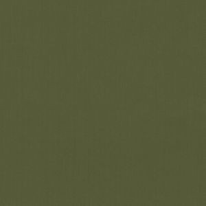 Scorpio Grotto 58 by Norbar Designer Fabric SCORPIO 100% INHERENTLY FLAME INDIA 54" - Swanky Fabrics -