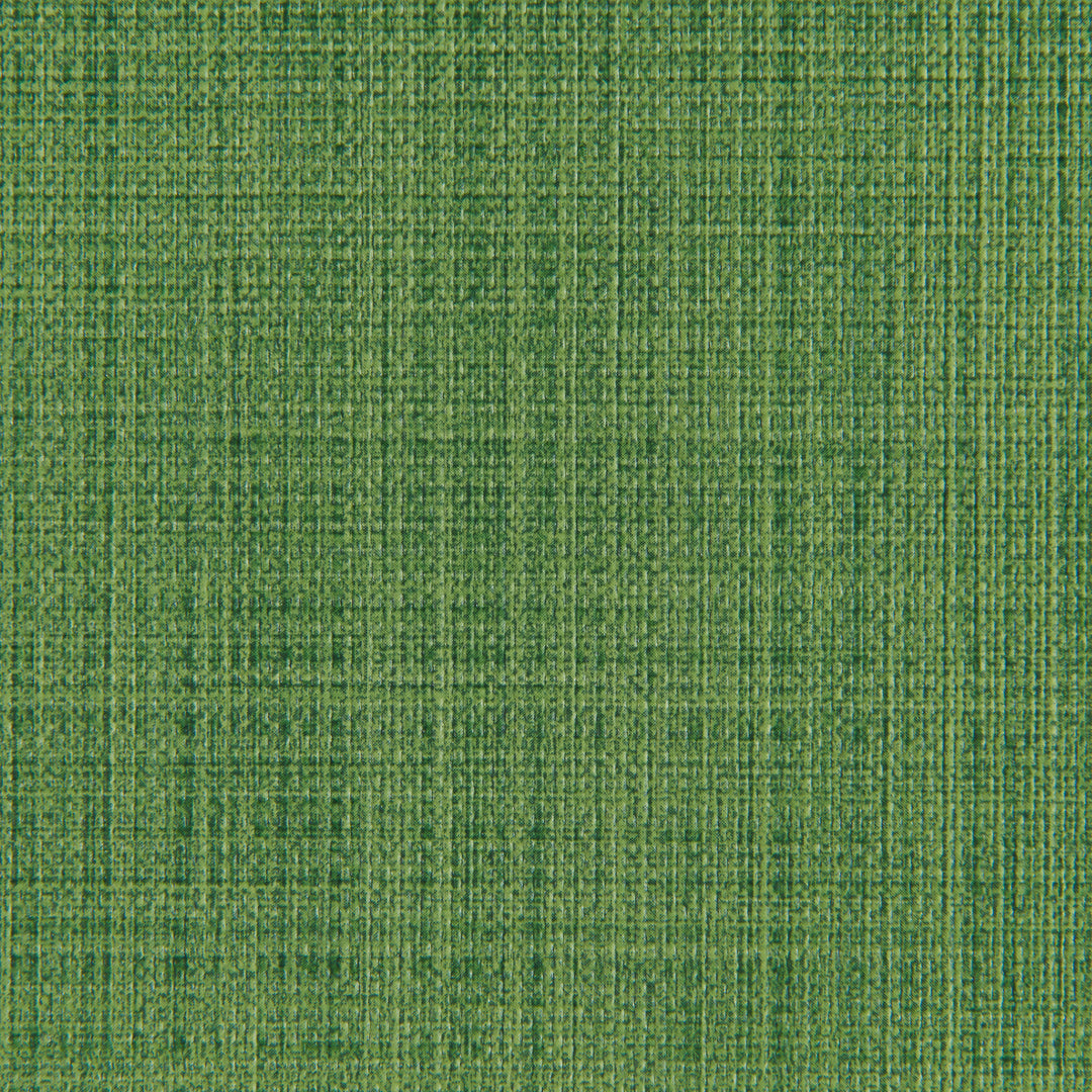 Scrimshaw - Cactus SCRIMSHAW.3.0 by Kravet Contract Designer Fabric