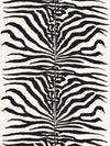 Zebra Black SC16366M0001 by Scalamandre Designer Fabric