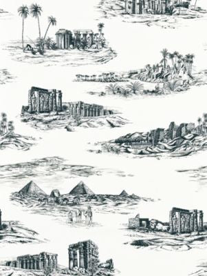 Cairo Toile Ink SC166350001 by Scalamandre Designer Fabric SAHARA 100% COTTON ITALY LIGHT DUTY Horizontal: 41.7" and Vertical: 55" 55 - Swanky Fabrics -