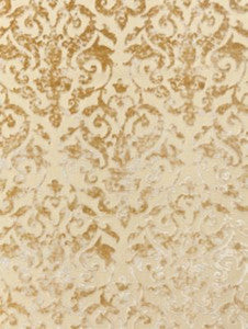 Venezia Silk Velvet Champagne SC270780001 by Scalamandre Designer Fabric