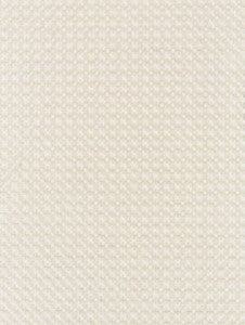 Floret Embroidery Champagne SC271330001 by Scalamandre Designer Fabric