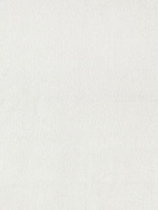 Bay Velvet | Outdoor Oyster SC271930001 by Scalamandre Designer Fabric